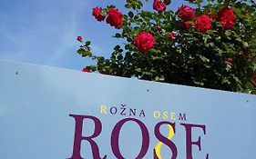 Rose 8 Bled
